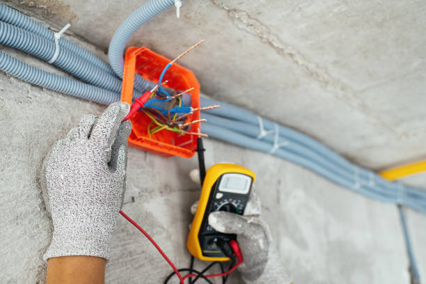 Best Electric Panel Repair  in Sarcoxie, MO